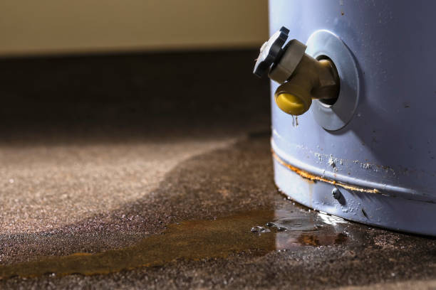 Best Flood restoration services  in Russellville, AR