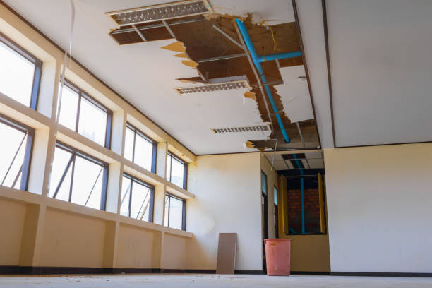 Best Commercial water damage restoration  in Russellville, AR
