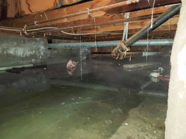 Local water damage restoration in Russellville, AR