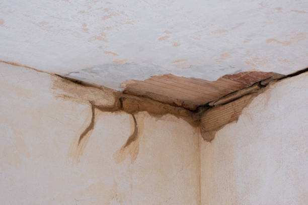 Trusted Russellville, AR Water damage restoration Experts