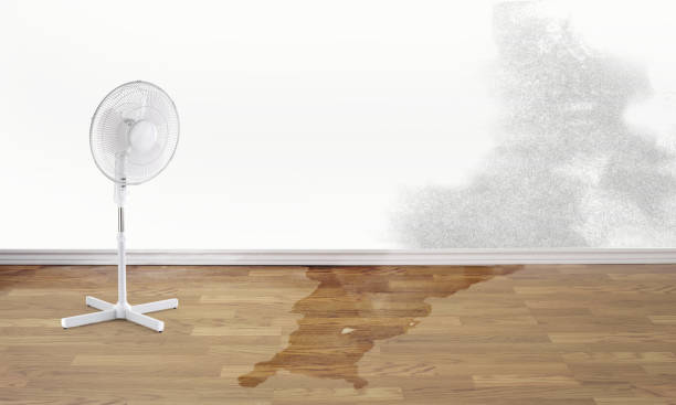 Best Water damage restoration insurance claims  in Russellville, AR
