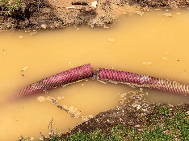 Best Water damage cleanup near me  in Russellville, AR